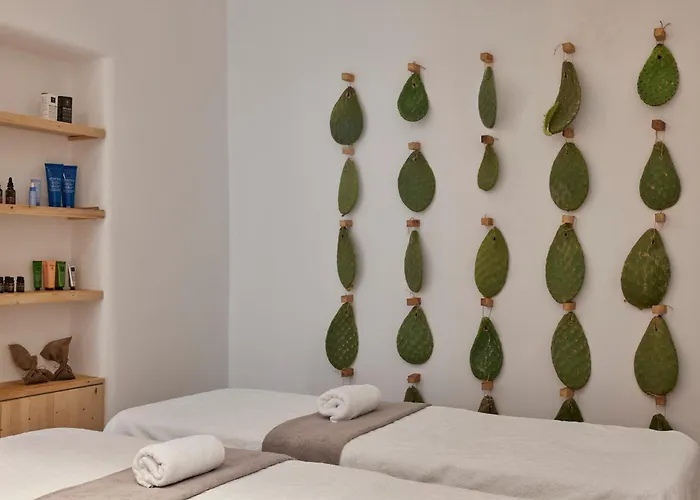 Villa Naxian Rhapsody Luxury Stelida (Naxos)